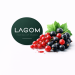 Табак для кальяна Lagom MAIN Red Ribes 250 гр